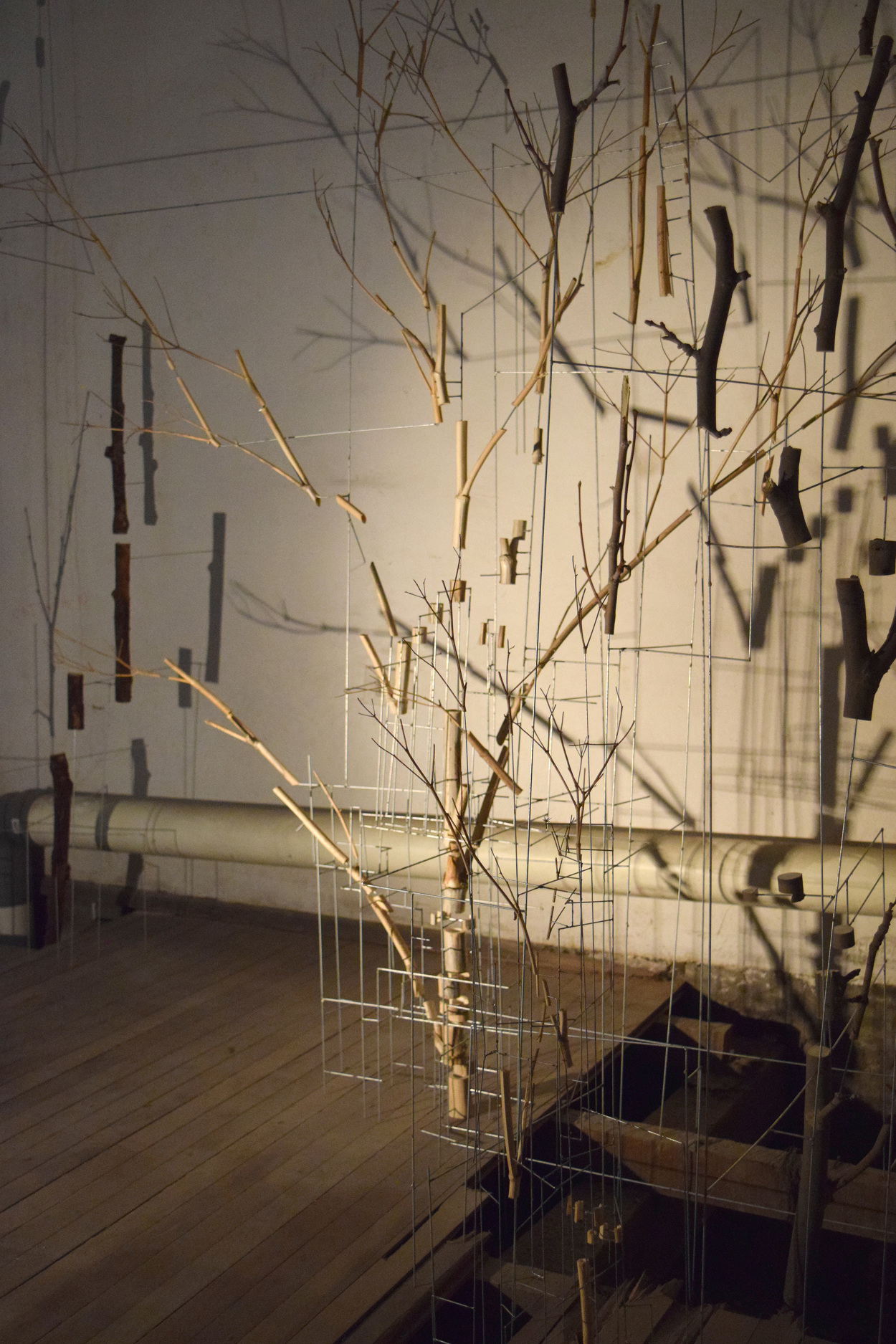 Device to hold a tree Rodrigo Arteaga