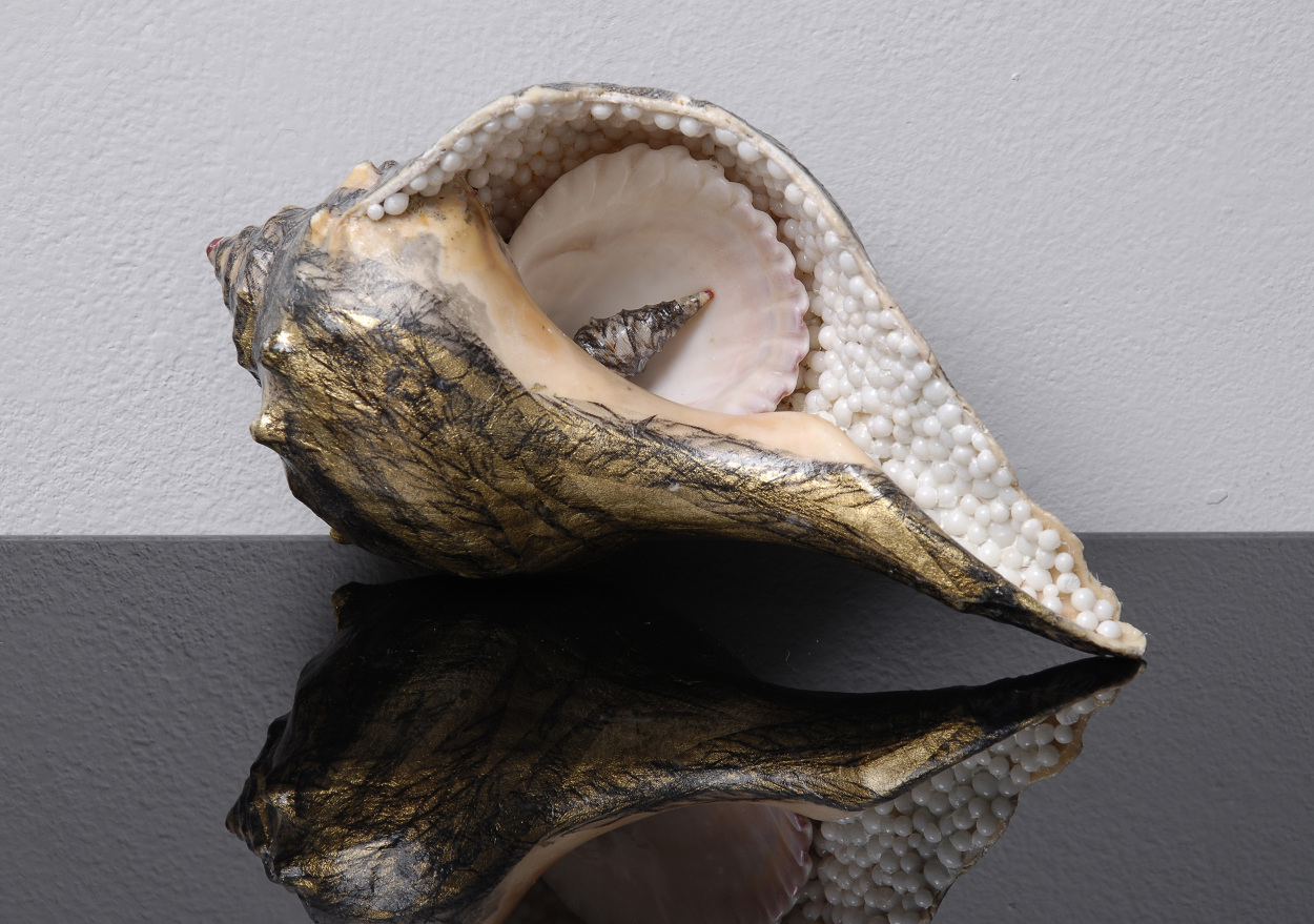 Hybrids - Mari Ogihara