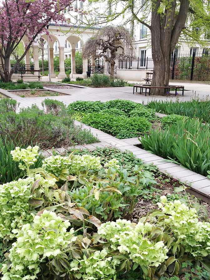 HOPITAL CORENTIN CELTON ISSY LES MOULINEAUX