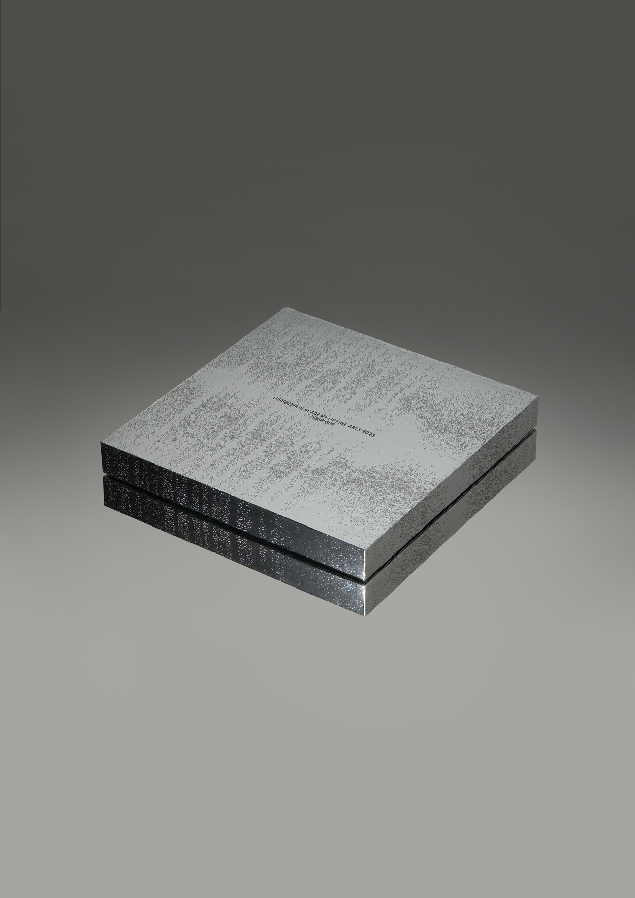 Offer of Admission Guangzhou Academy of Fine Arts 2023 - tian