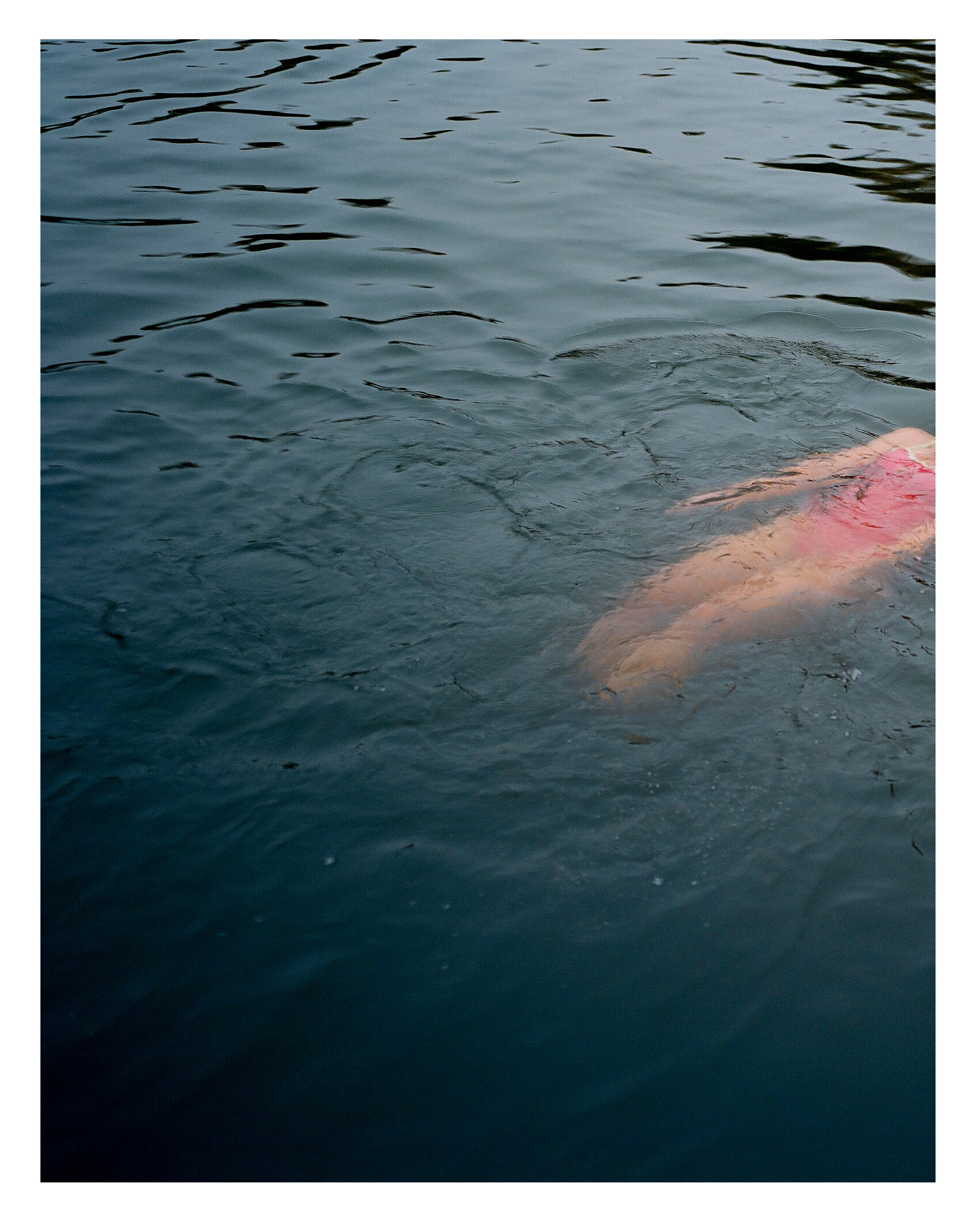 Swimmers - Alice Zoo