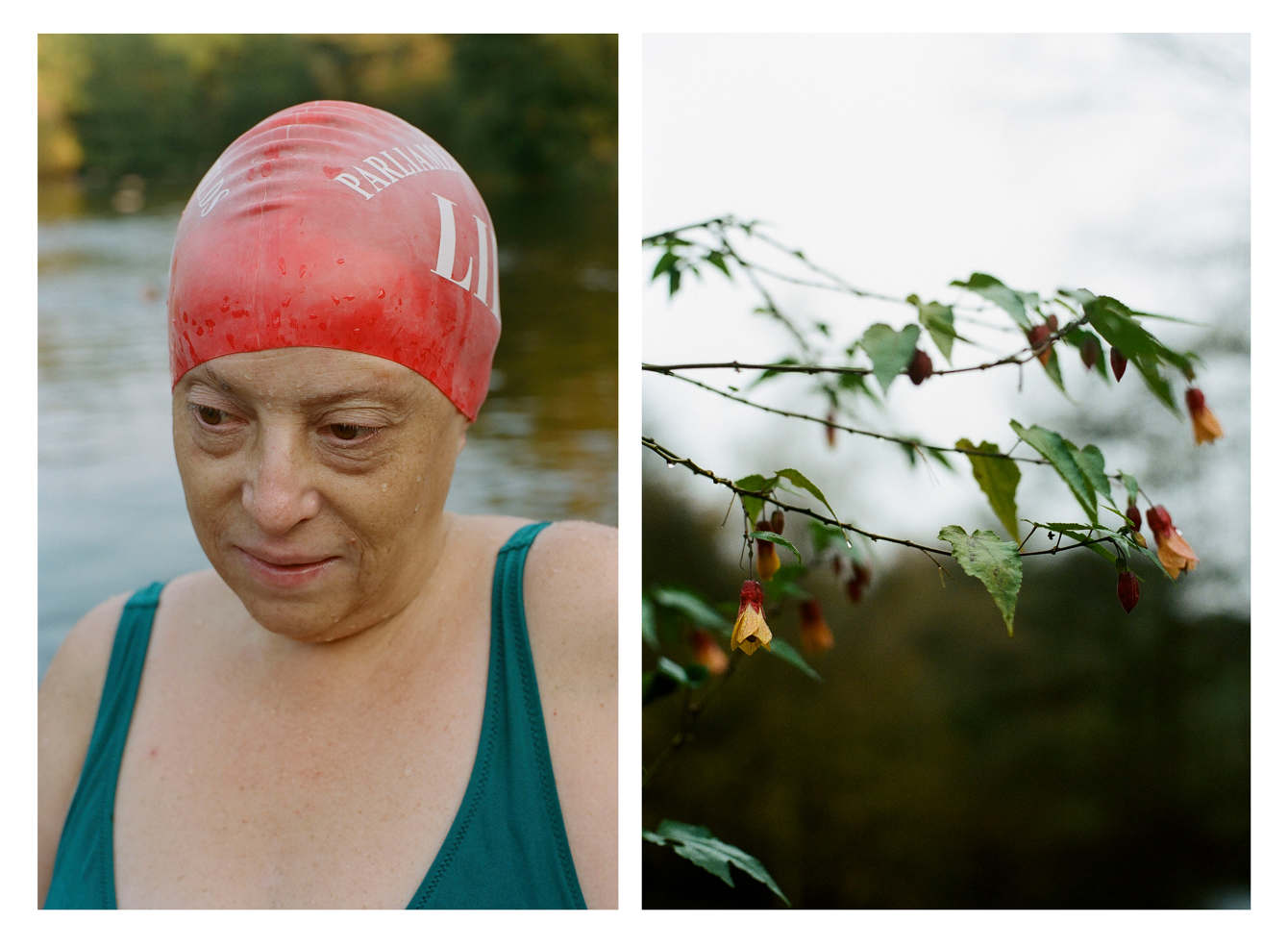 Swimmers - Alice Zoo