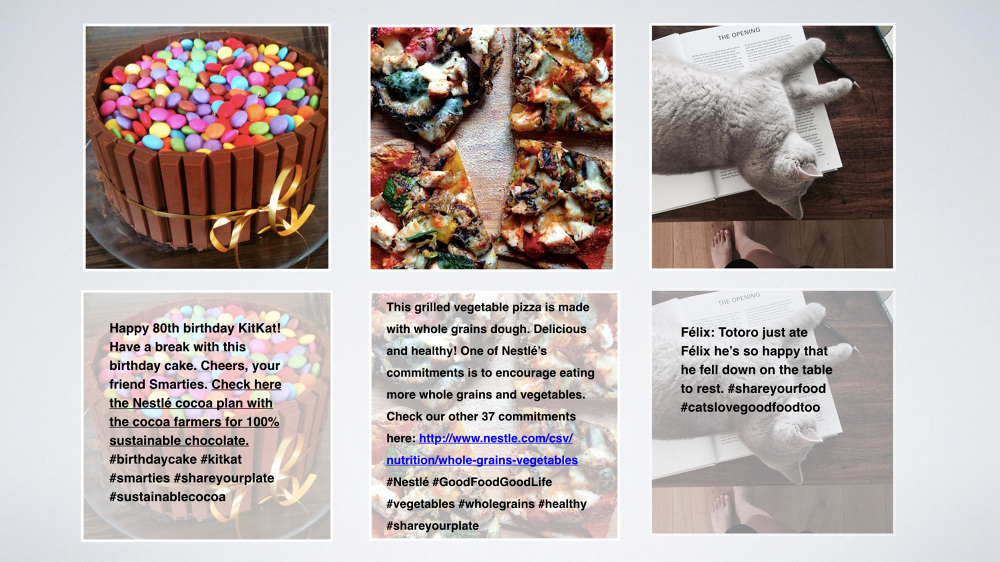 Nestlé Longest Dining Table in the World sharonmees