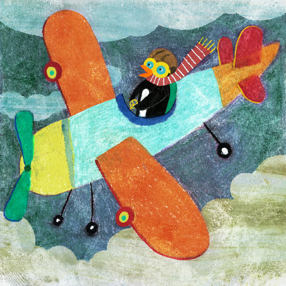 Pingüino volador - barbaradelagarza