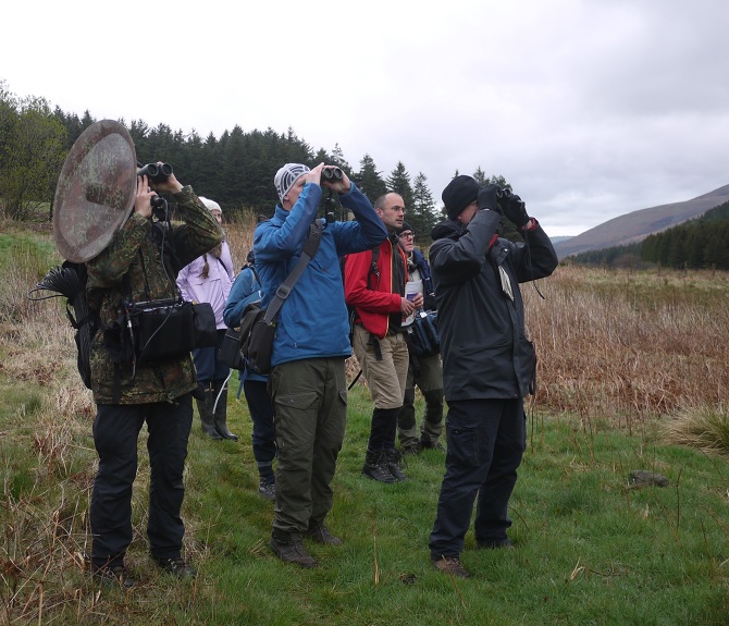 Wildlife Sound Recording holoherz