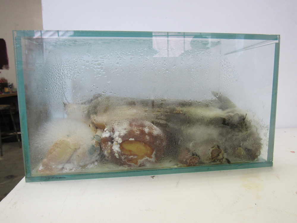 Decay Box - Lindsy Marshall