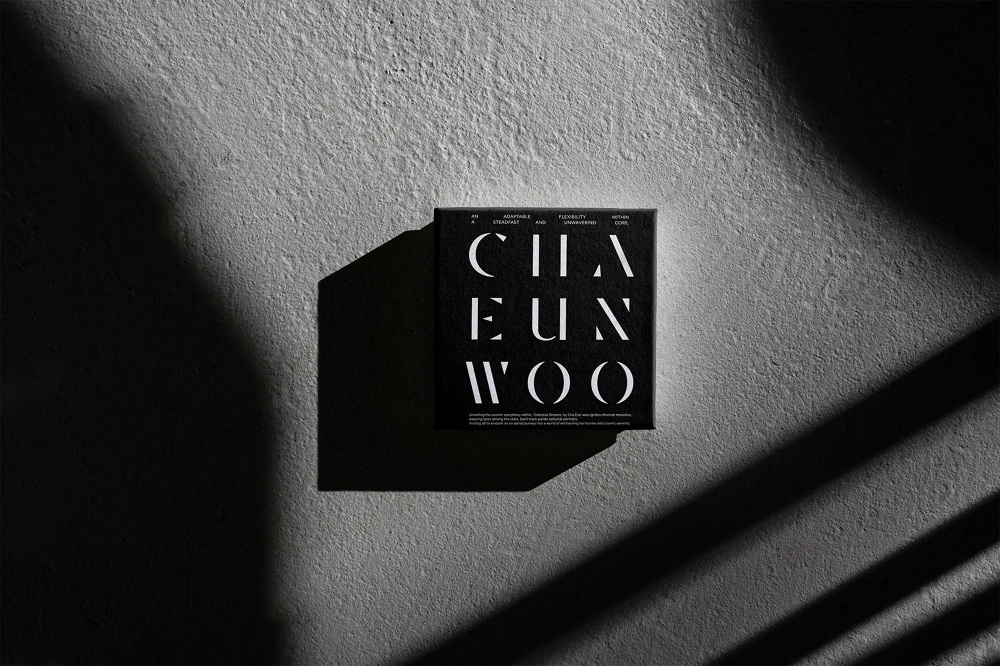 [ALBUM DESIGN] ENTITY by CHA EUN-WOO - sparks edition