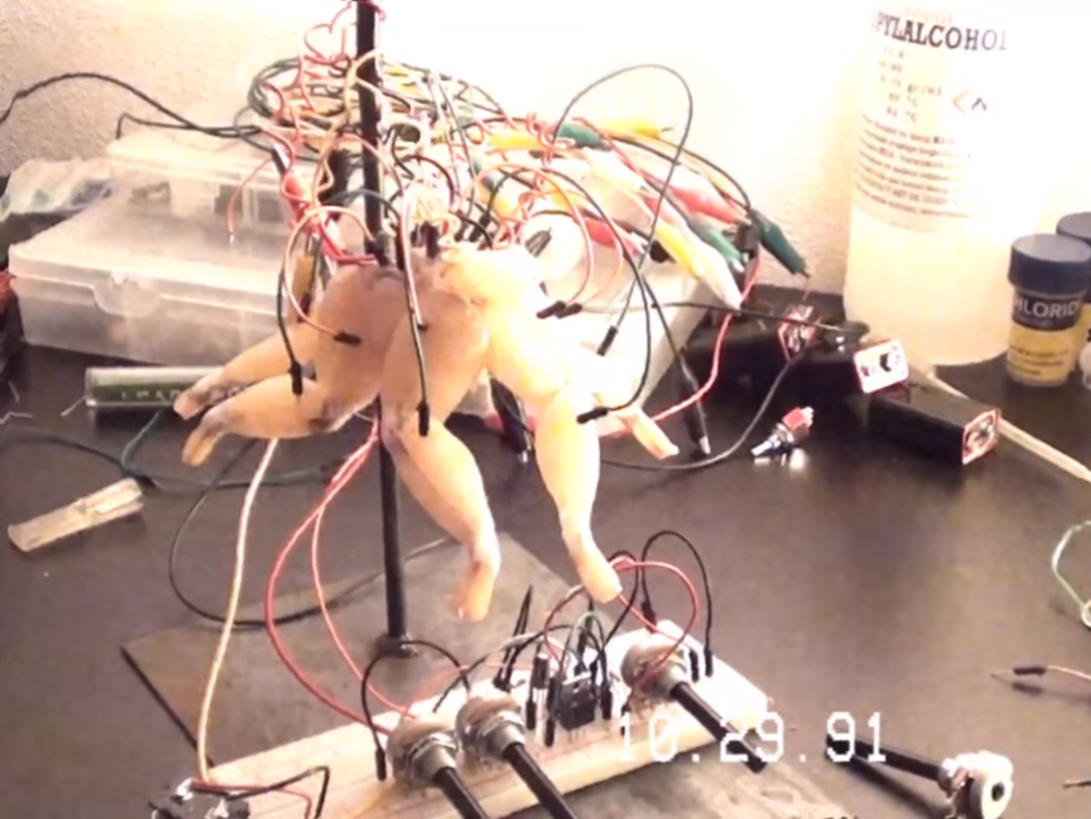 The Modular Body by Floris Kaayk - Berry Berry