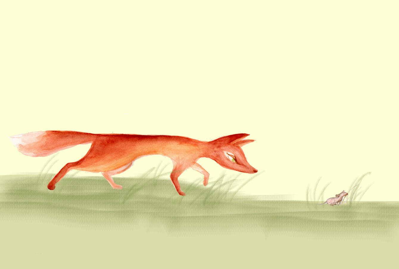 Illustration - Sofie's Portfolio