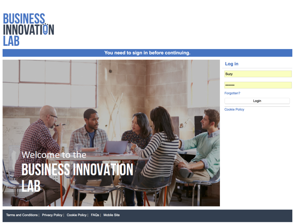 Business Innovation Lab - PEGGY'S PORTFOLIO
