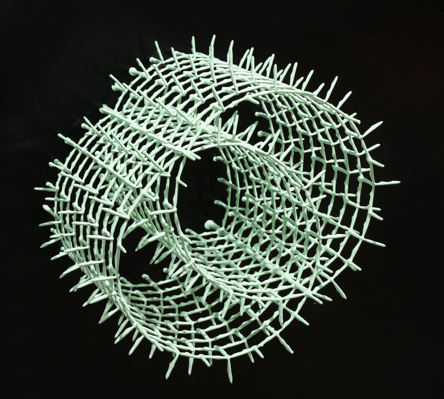 Dipped Wire Structures - Sydney Cash