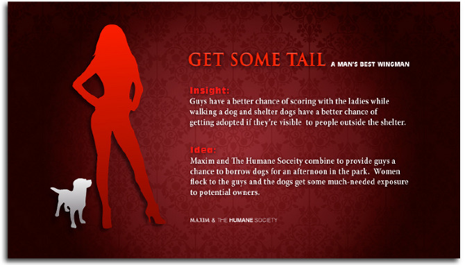 MAXIM "Get Some Tail" - Jennine Punzone