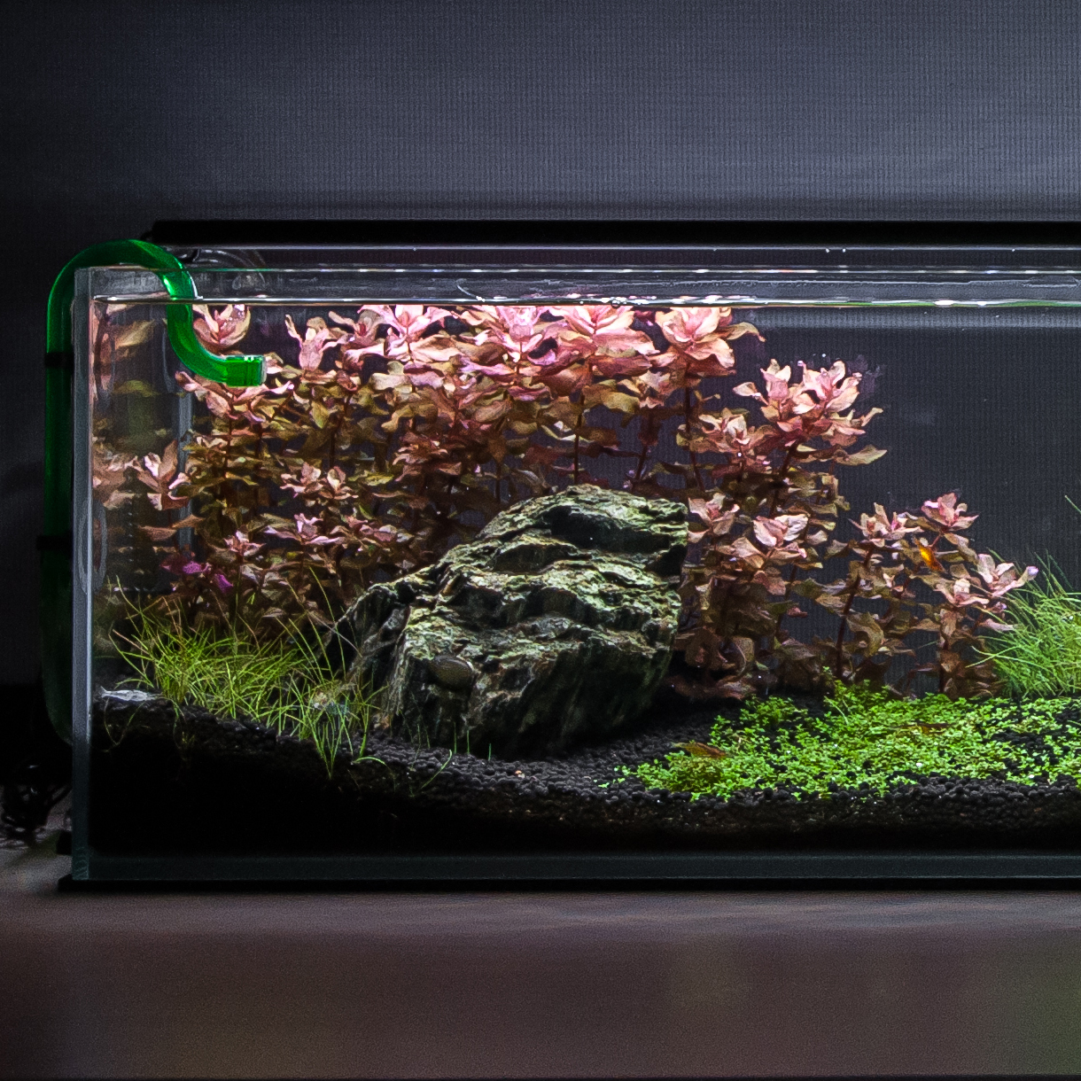 12 Gallon Long Josh Okun