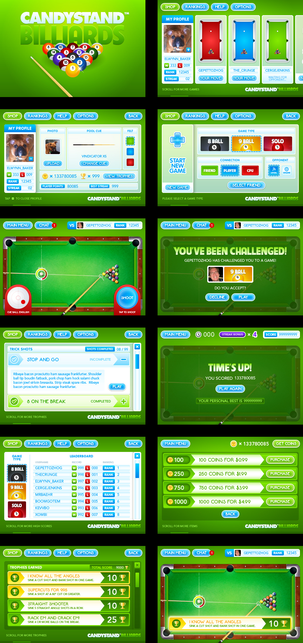 Mobile Billiards Lionplex Design Illustration