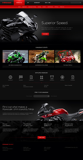 About Lionplex Design Illustration