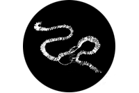 Basic Design Works - bu