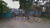 nipetrov.com - Images
