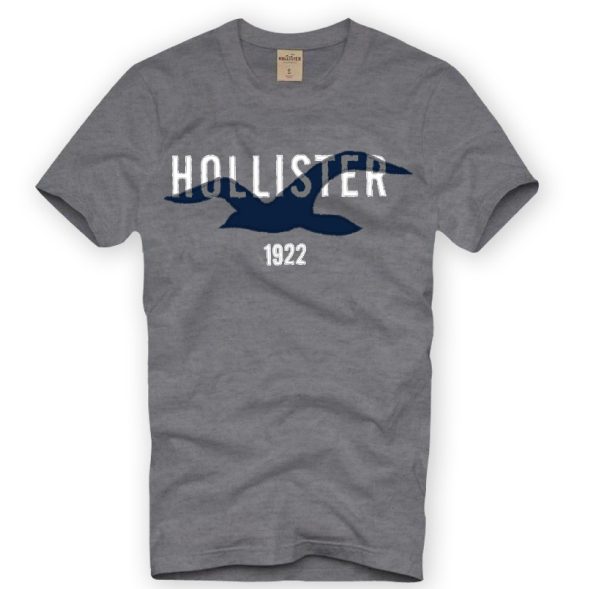 Hollister T Shirt Logo on Sale, 57% OFF 