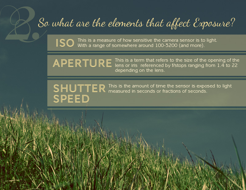 Pentax 6x7 visual data 8