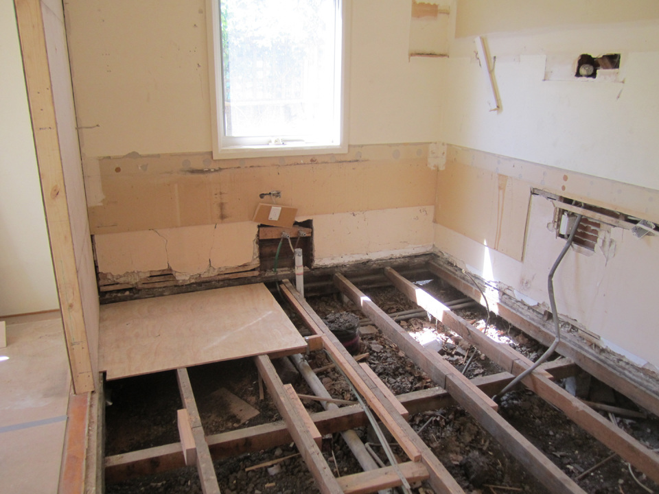 gardensonline: ceanothus concha