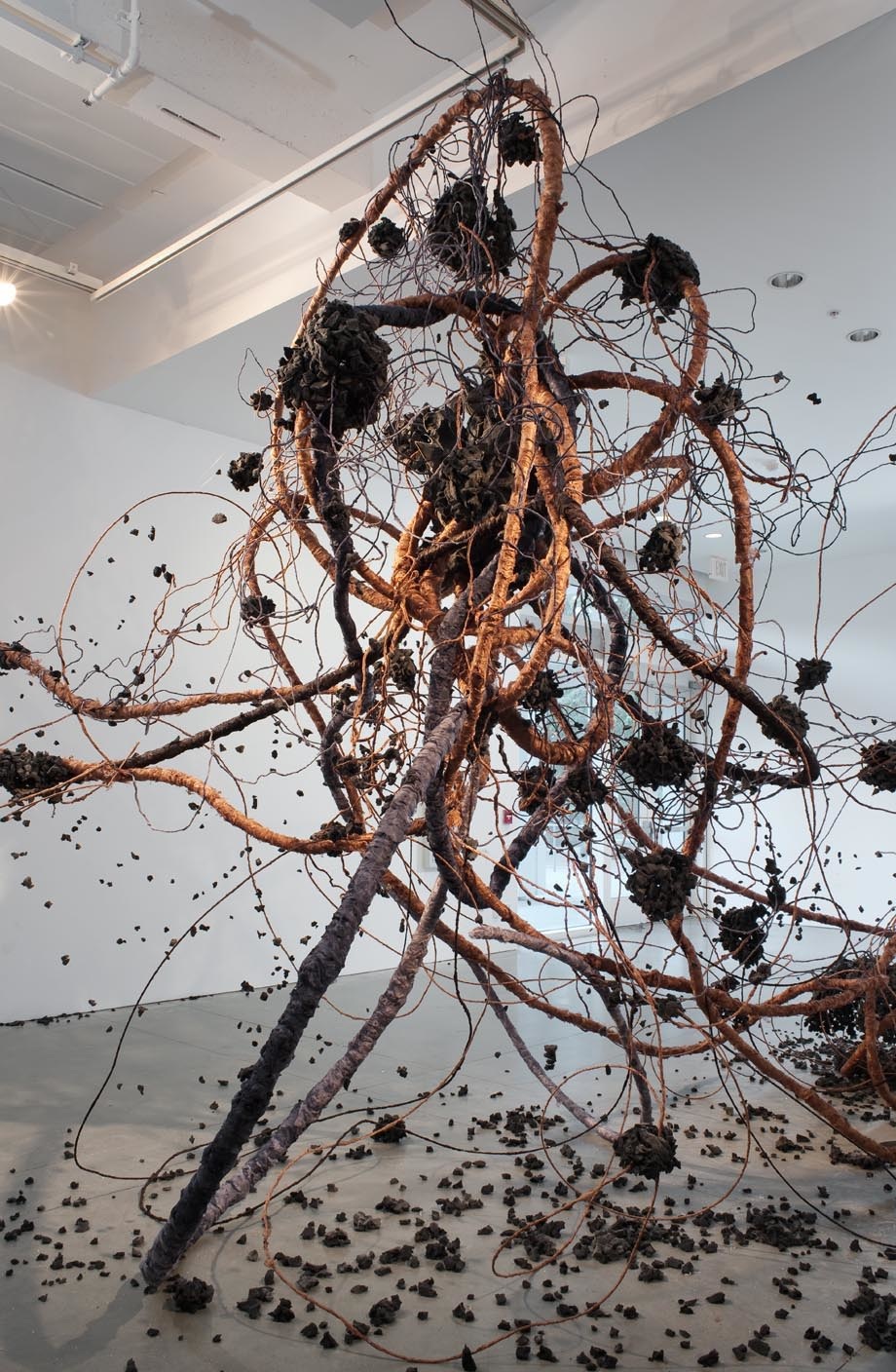 dust bunny noa kaplan