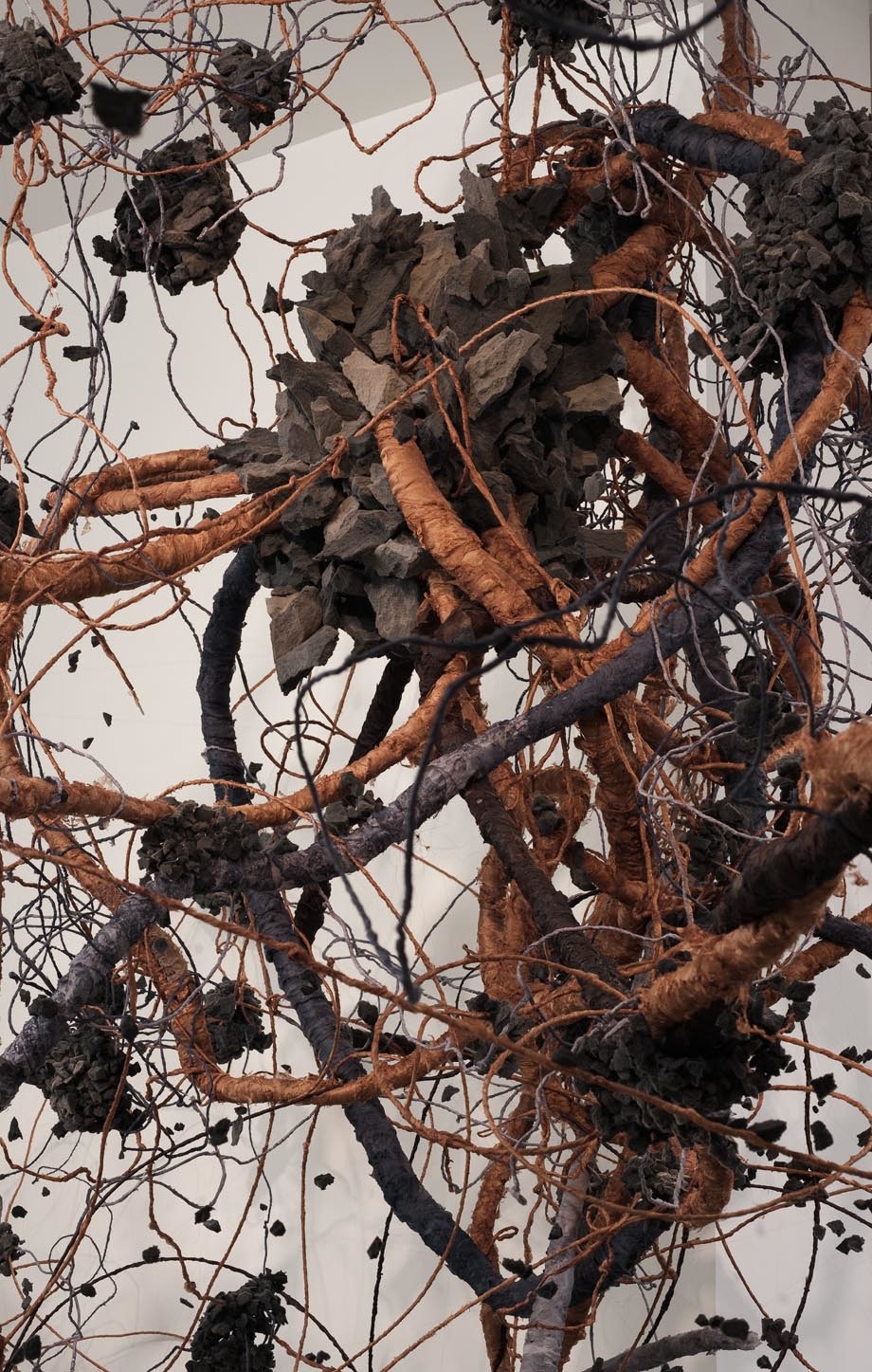 dust bunny noa kaplan