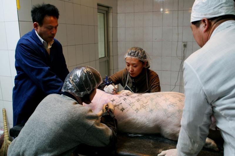 Art Farm Wim DELVOYE