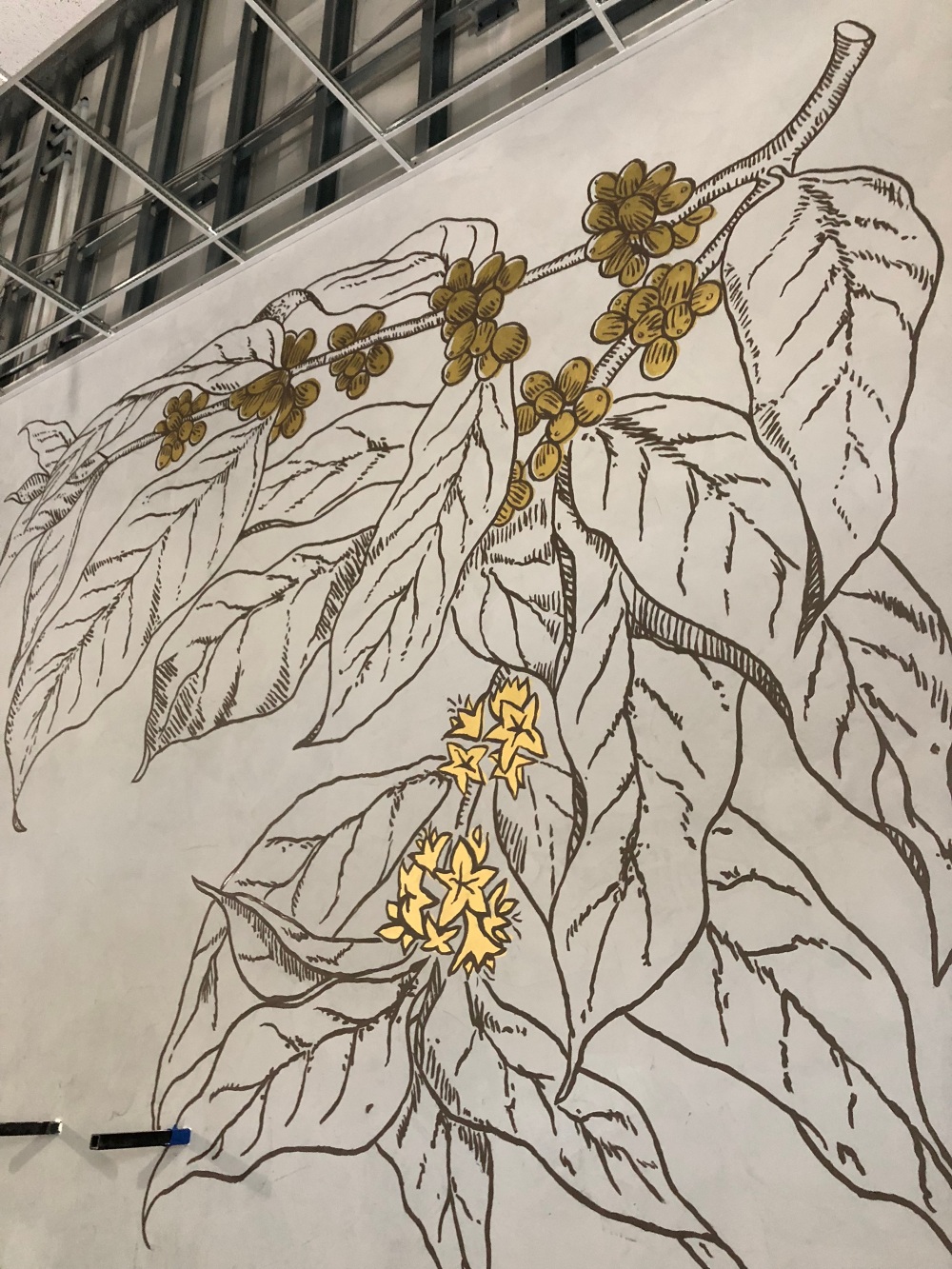 STARBUCKS ART PROGRAM Zach Yarrington