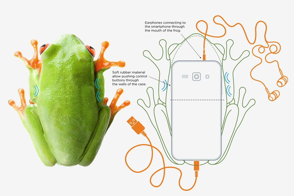 Smart Frog Mitin Design Smart Frog Mitin Design