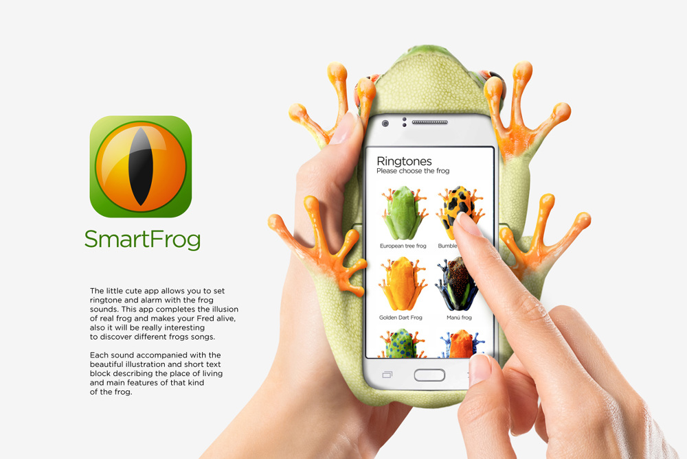 Smart Frog Mitin Design Smart Frog Mitin Design