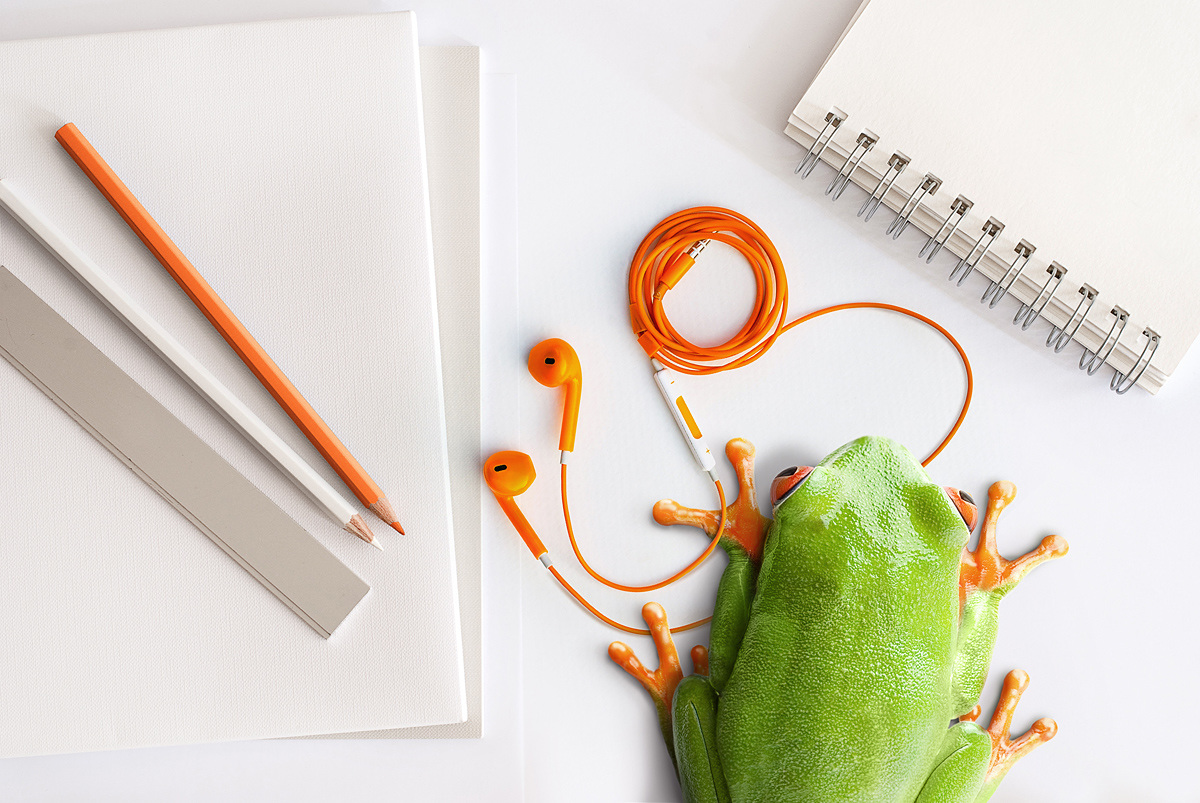 Smart Frog - Mitin/Design