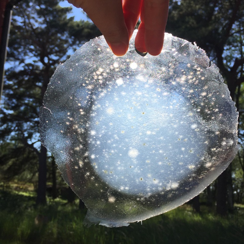 The Sustainable Darkroom 2020 Noora Sandgren