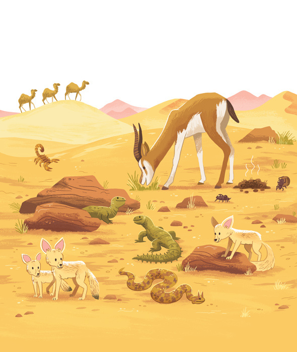 My Very First Animals Book - Gorillustrator