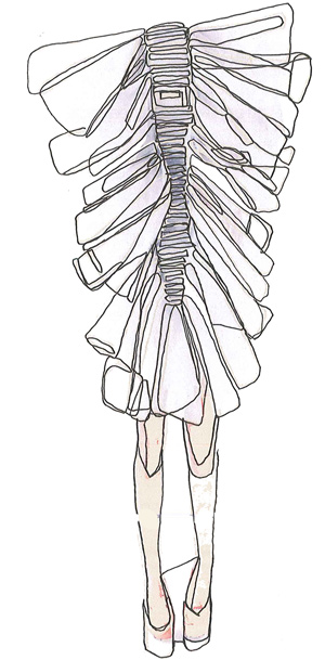 Illustrations - Laura Smith