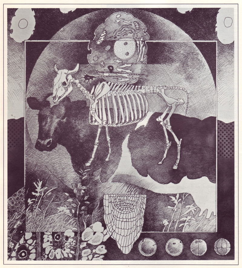 Biology Today, Terry Lamb 50 Watts