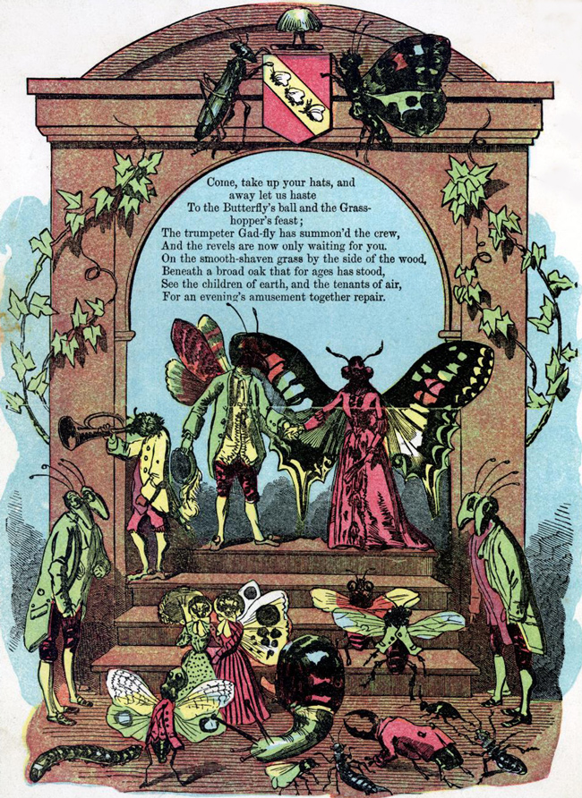 The Butterfly's Ball and the Feast 50 Watts