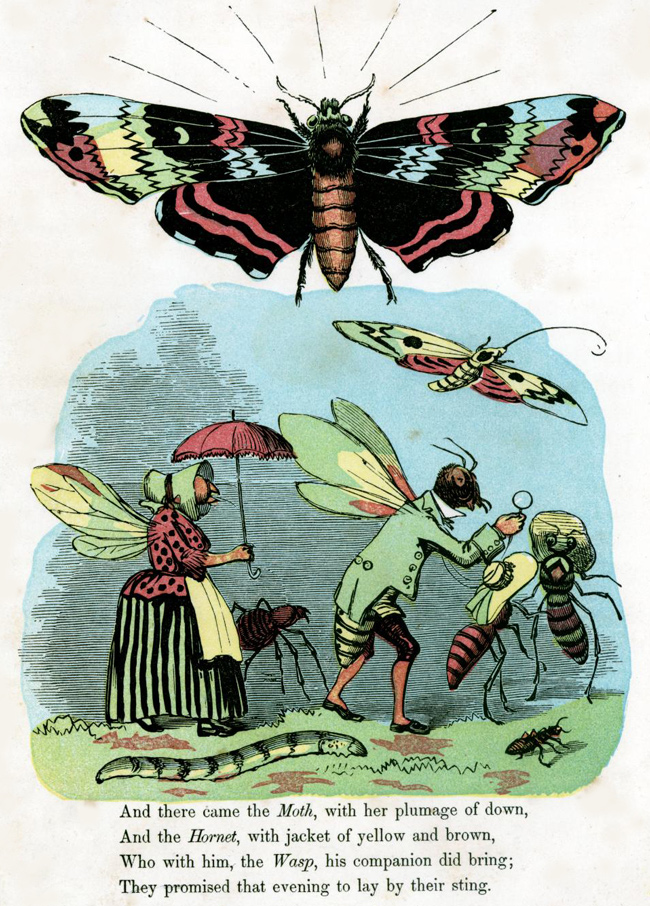 The Butterfly's Ball and the Feast 50 Watts