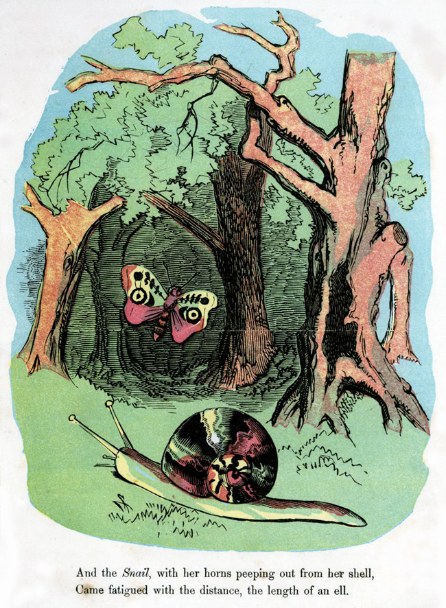 The Butterfly's Ball and the Feast 50 Watts