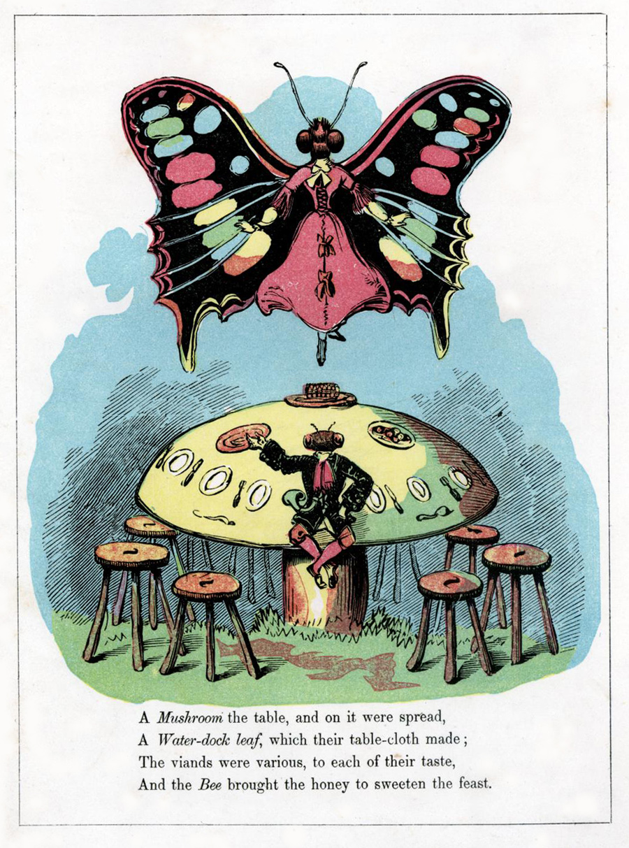 The Butterfly's Ball and the Feast 50 Watts