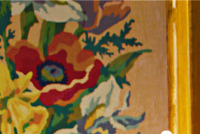 Ginger Robinson Portfolio