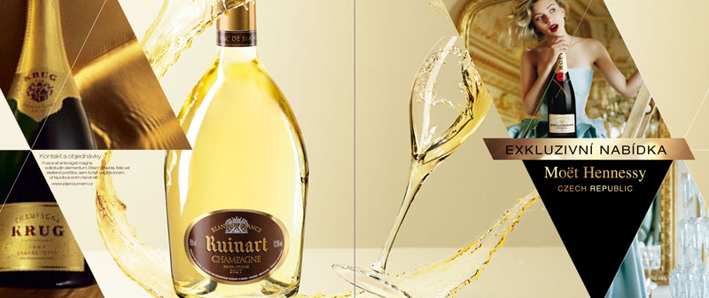 moet hennessy portfolio