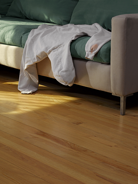 bring your clothes back to life zamiar photo