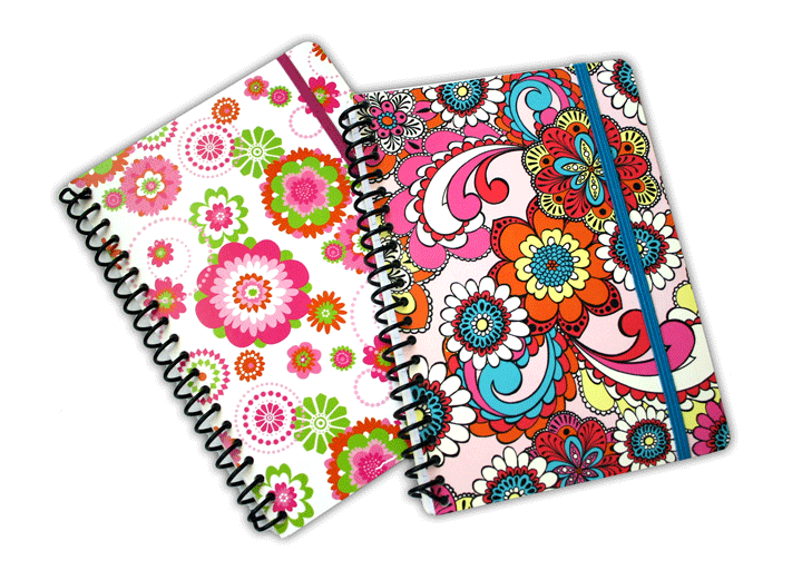 dollar-general-stationery-alinecalp