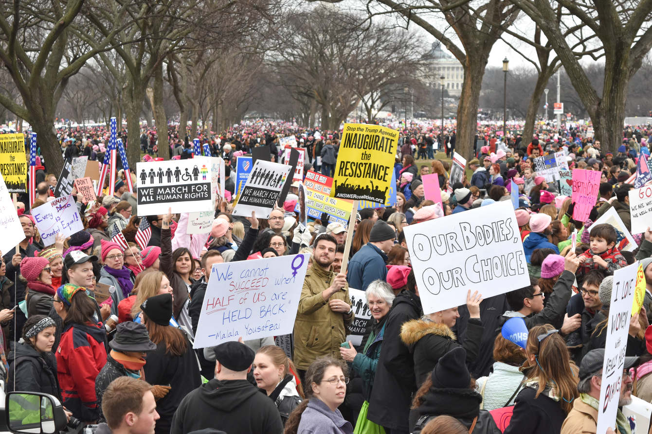 Women's March Protest Signs - karyn jimenez elliott