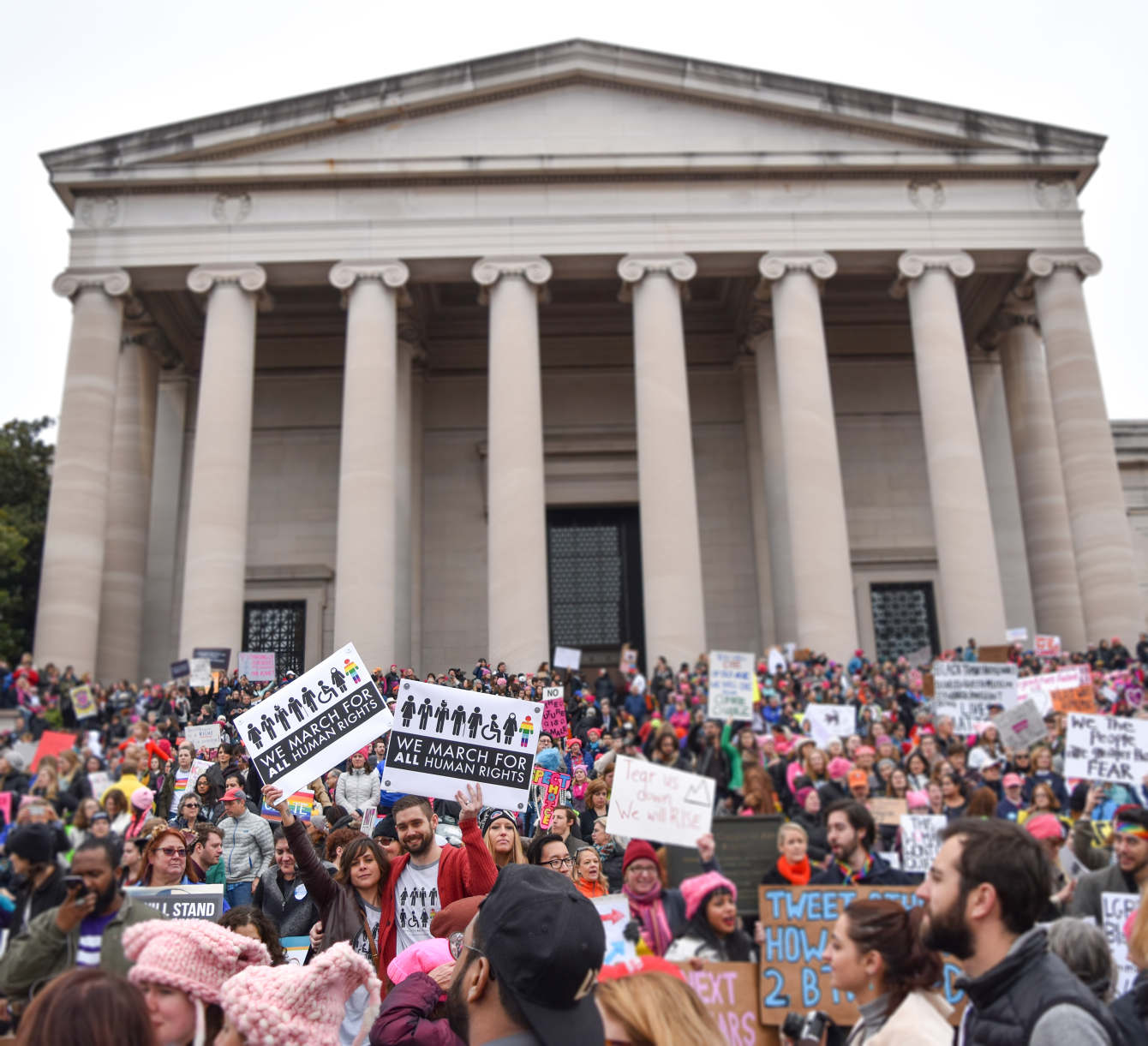 Women's March Protest Signs - karyn jimenez elliott