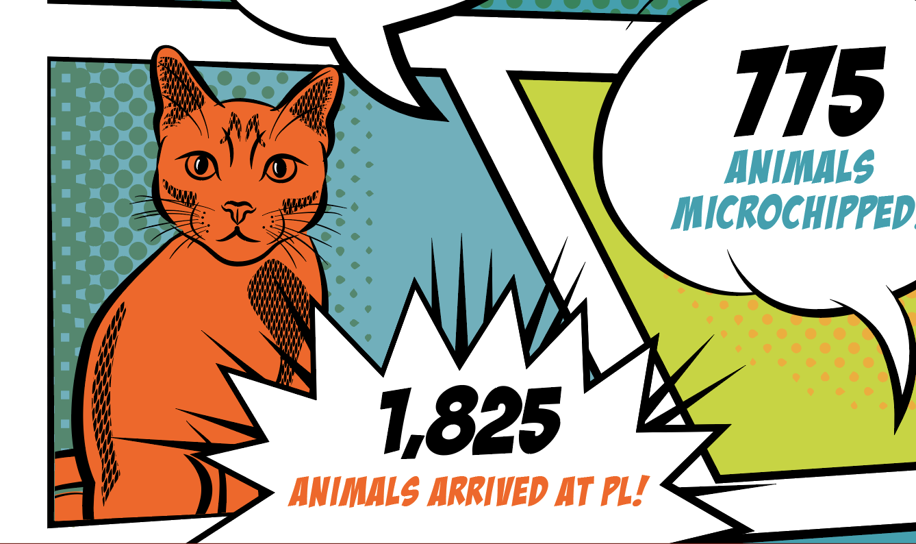 Potter League Tshirt karyn jimenez elliott