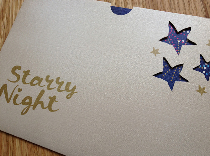 starry night sara rubinett design