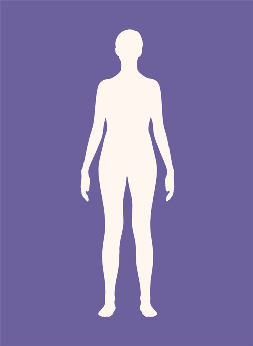 The Female Body