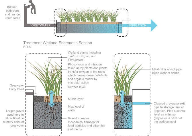 Food Forest, Wafra Kuwait - jennifercooper wetland filter diagram 