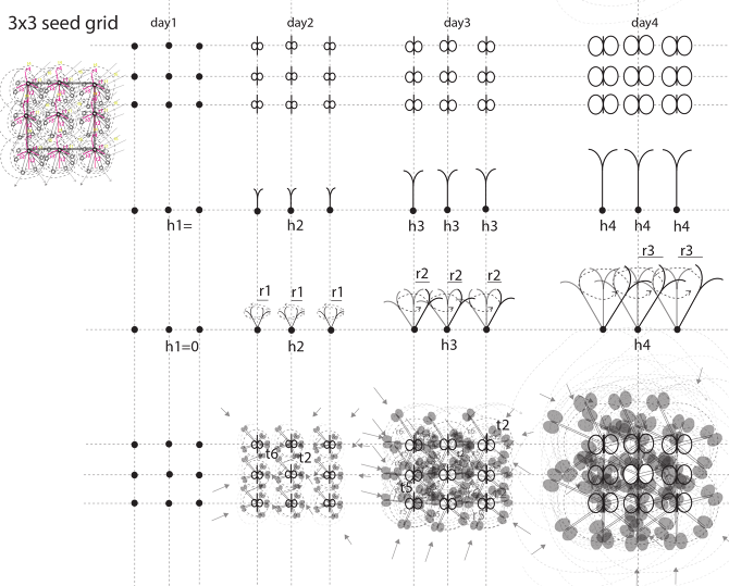 seed algorithm - zeynepbacinoglu